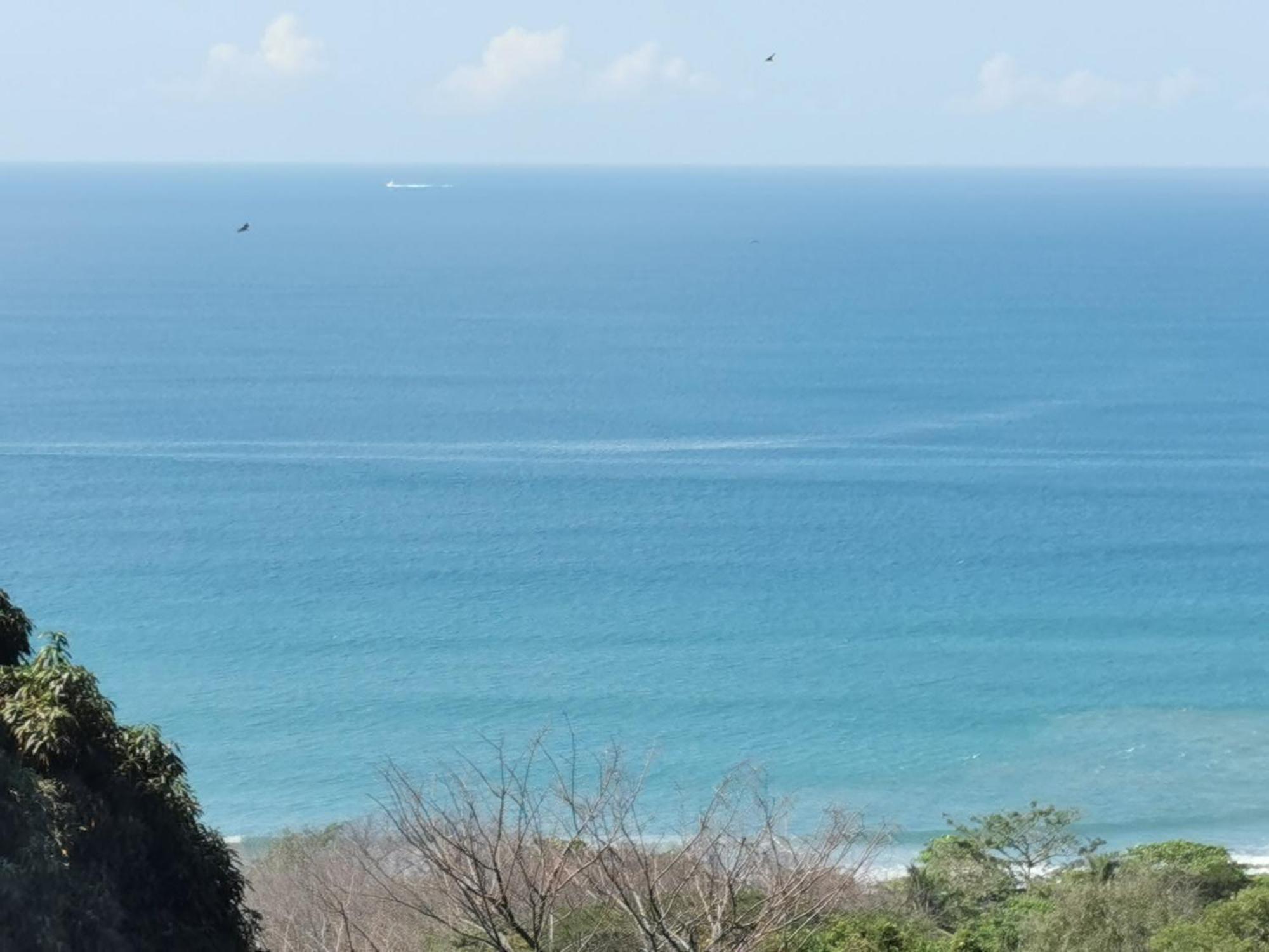 Casa Luna - Private Suites With Ocean View, Pool, Ac, Wifi Playa Santa Teresa  외부 사진